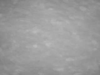 voyeurcam casa salsa pool 1